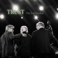 Produktbild: Trio X of Sweden: Trust