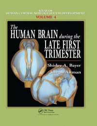 Produktbild: Bayer, S: The Human Brain During the Late First Trimester