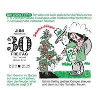 Gärtner Pötschkes Der Grüne Wink Tages-Gartenkalender 2023