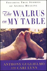 Produktbild: The Walrus on My Table