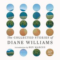 Produktbild: The Collected Stories of Diane Williams