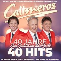 Produktbild: 40 Jahre 40 Hits-Zum Jubil&auml;um