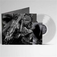 Produktbild: En Skog Av Nidstang (Clear Vinyl)