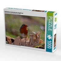 Produktbild: CALVENDO Puzzle Rotkehlchen beobachtet die Umgebung | 1000 Teile Lege-Gr&ouml;&szlig;e 64x48cm Foto-Puzzle f&uuml;r gl&uuml;ckliche Stunden