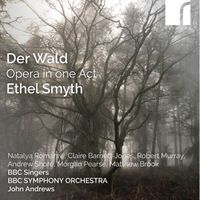 Produktbild: Der Wald