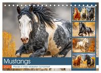 Produktbild: Mustangs. Pferde in ihrer wildesten Sch&ouml;nheit (Tischkalender 2027 DIN A5 quer), CALVENDO Monatskalender