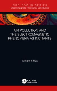 Produktbild: Air Pollution and the Electromagnetic Phenomena as Incitants