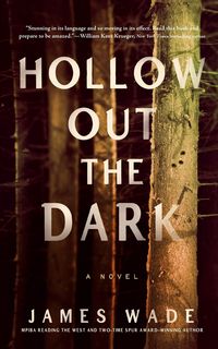 Produktbild: Hollow Out the Dark
