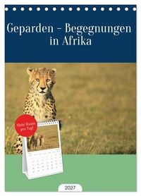 Produktbild: Tischplaner 2027 - Geparden - Begegnungen in Afrika (A5 Tischkalender zum Aufstellen) CALVENDO