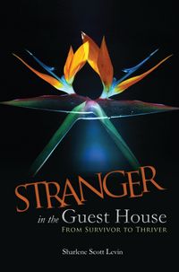 Produktbild: Stranger in the Guest House