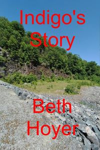 Produktbild: Indigo's Story (The Legend, #1)