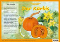 Produktbild: Natur-Kamishibai / Der K&uuml;rbis - Natur-Kamishibai