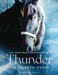 Produktbild: Thunder the Wonder Horse