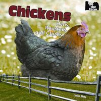 Produktbild: Chickens