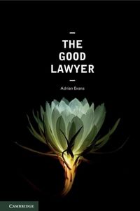 Produktbild: Good Lawyer
