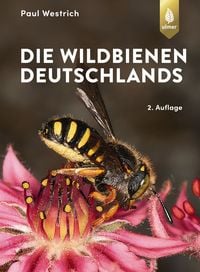 Bild vom Artikel Die Wildbienen Deutschlands vom Autor Paul Westrich