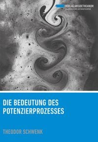 Produktbild: Die Bedeutung des Potenzierprozesses