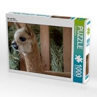Produktbild: CALVENDO Puzzle Alpaka im Heu | 1000 Teile Lege-Gr&ouml;&szlig;e 64x48cm Foto-Puzzle f&uuml;r gl&uuml;ckliche Stunden