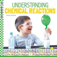 Produktbild: Understanding Chemical Reactions