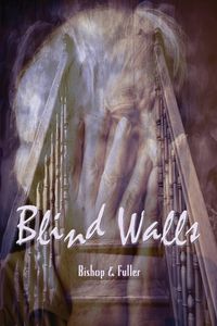 Produktbild: Blind Walls