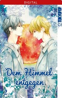 Produktbild: Dem Himmel entgegen 02