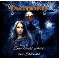 Produktbild: Die Nacht geh&ouml;rt den Skolniks