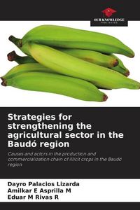 Produktbild: Strategies for strengthening the agricultural sector in the Baud&oacute; region