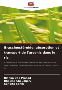Produktbild: Brassinost&eacute;ro&iuml;de: absorption et transport de l'arsenic dans le riz