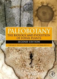 Produktbild: Paleobotany