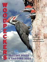 Produktbild: Woodpeckers: Drilling Holes and Bagging Bugs