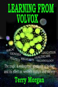 Produktbild: Learning from Volvox