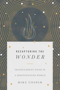 Produktbild: Recapturing the Wonder