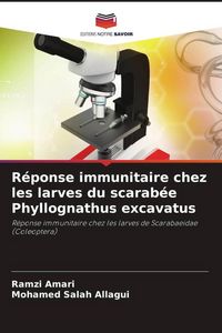 Produktbild: R&eacute;ponse immunitaire chez les larves du scarab&eacute;e Phyllognathus excavatus
