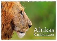 Produktbild: Afrikas Raubkatzen in eindrucksvollen Portraits (Wandkalender 2026 DIN A2 quer), CALVENDO Monatskalender