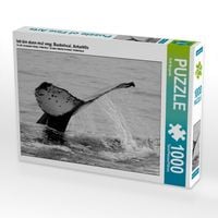 Produktbild: Ich bin dann mal weg; Buckelwal, Antarktis (Puzzle)