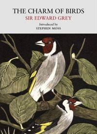Produktbild: The Charm of Birds
