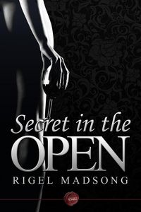Produktbild: Secret in the Open