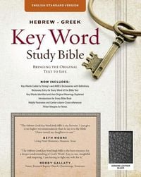 Produktbild: Hebrew-Greek Key Word Study Bible-ESV