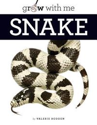Produktbild: Snake