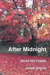 Produktbild: After Midnight