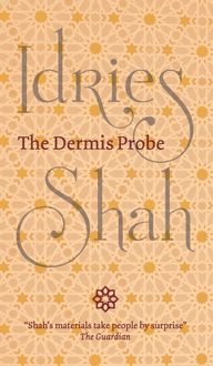 Produktbild: The Dermis Probe