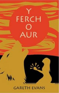 Produktbild: Y Ferch o Aur