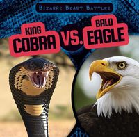 Produktbild: King Cobra Vs Bald Eagle