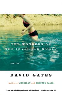Produktbild: The Wonders of the Invisible World