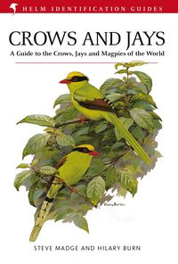 Produktbild: Crows and Jays