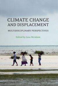 Produktbild: Climate Change and Displacement