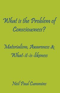 Produktbild: What is the Problem of Consciousness?
