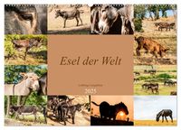 Produktbild: Esel der Welt - Lieblings Langohren (Wandkalender 2025 DIN A2 quer), CALVENDO Monatskalender