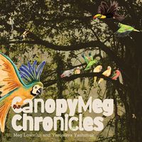 Produktbild: CanopyMeg Chronicles