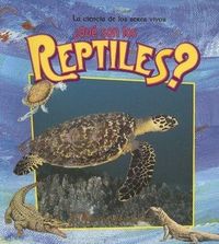 Produktbild: &iquest;Qu&eacute; Son Los Reptiles? (What Is a Reptile?)